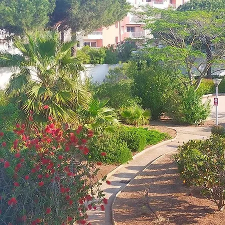 Pour 4 Personnes Proche Du Port Et Des Plages Lejlighed *